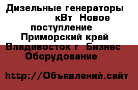 Дизельные генераторы  12 - 250 кВт. Новое поступление. - Приморский край, Владивосток г. Бизнес » Оборудование   